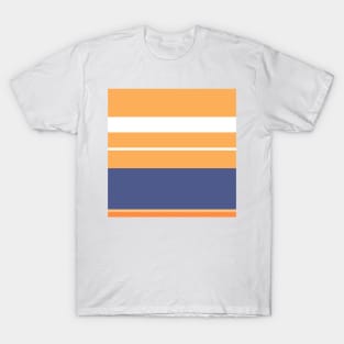 A lovely concoction of Purple Navy, White, Topaz, Pale Orange and Orangeish stripes. T-Shirt